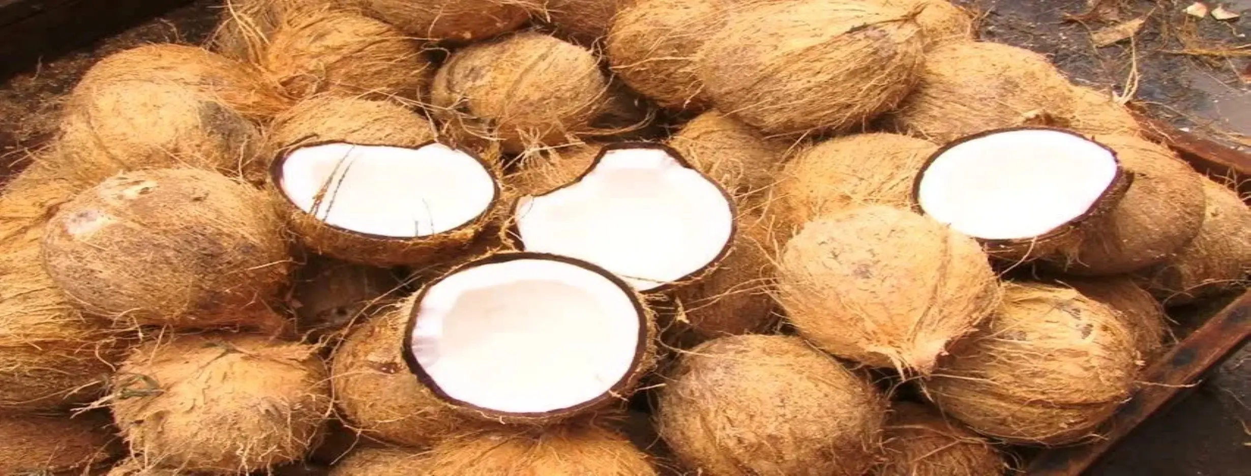 Image for Coconut Husking